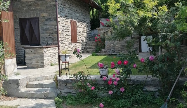 Pet-Friendly 'Mountain Chalet' with Pool