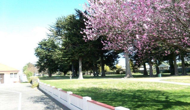 Pet-Friendly Napier Nest Motel w/Kitchenette