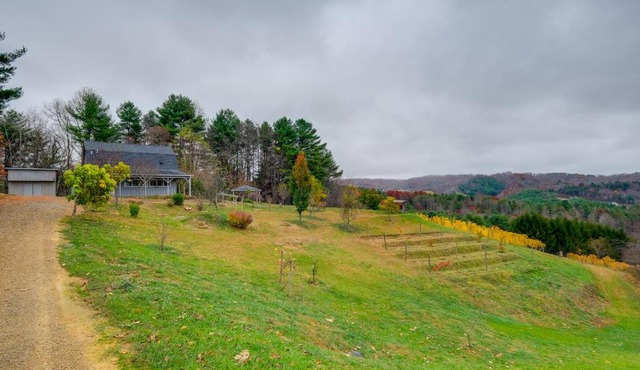 Pet-Friendly Pilot Studio w/Vineyard Views!