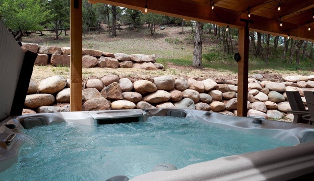 Pet Friendly Remodeled Home - 3 Miles to DGO - Hot Tub, Yard, Ping Pong, AC