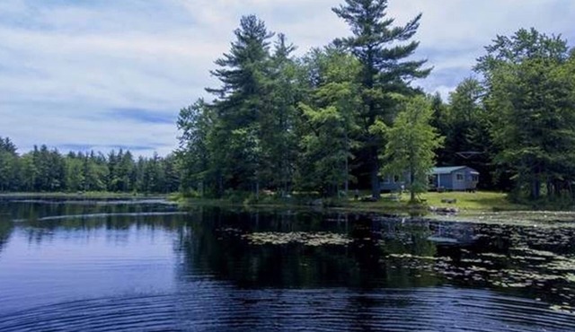 Pet-friendly, secluded, & peaceful pond home near Keene & Rindge. Max 3 people.