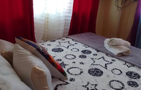 Pet Friendly Transient along Ortigas Ext