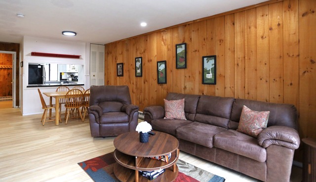Pet Friendly Waterville Valley Condo