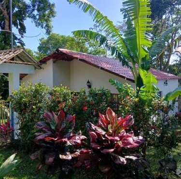 PETIT PARADIS CABAÑA Catemaco Rainforest Nature