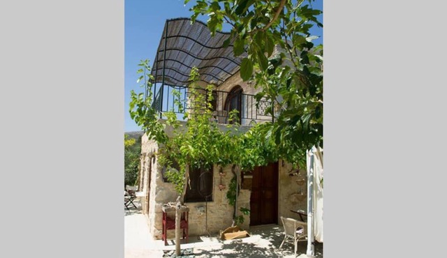 Petite Olive House