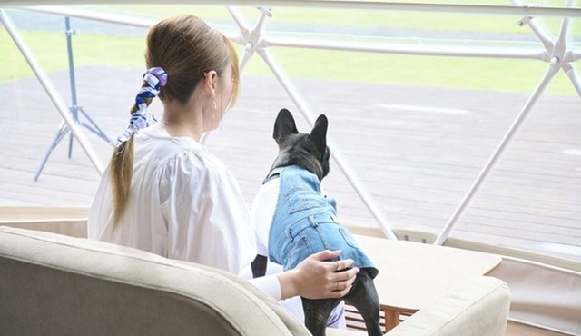 Pets allowed 7m dome tent A Accommodation onl/Sanbu District Chiba