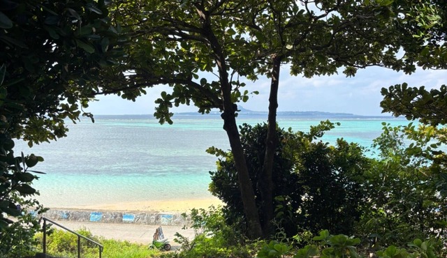 Pets and BBQ allowed Villa rental Sea view No/Kunigami County Okinawa