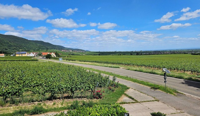 Pfälzerglück - Spacious vacation home in the vineyards of the Southern Palatinate