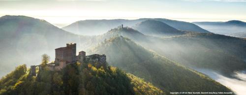 Pfalzliebe