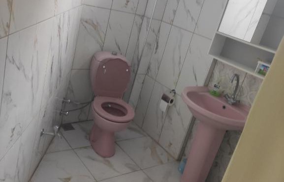 PİNK HAUSE