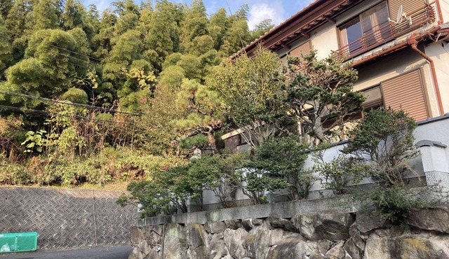 Piano Guest House