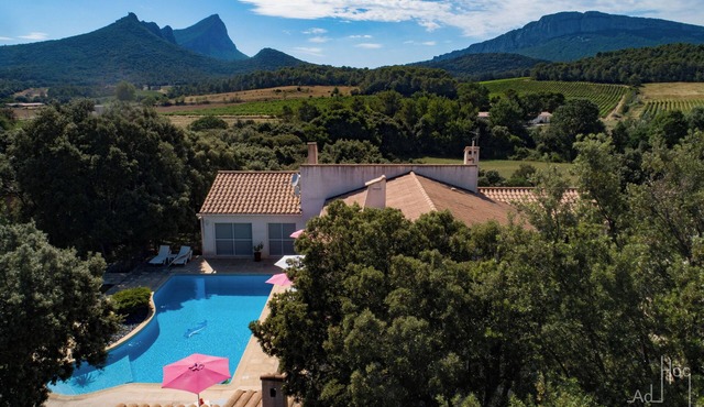 Pic Saint-Loup view and swimming pool - Quiet gîte