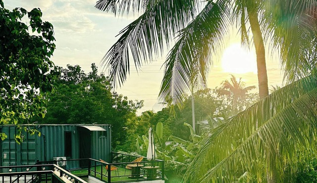 Pig Dive Hostel