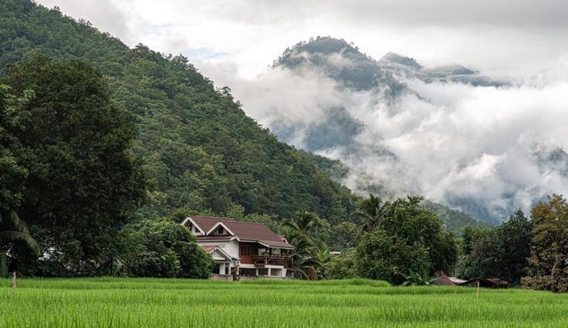 Pimpa House พิมพาเฮาส์