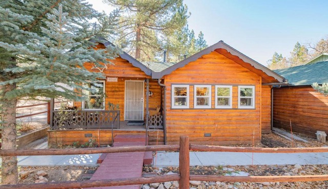 Pine Forest Cabin