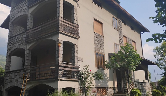 Pine forest house
