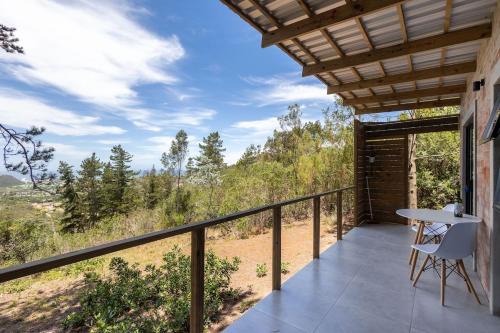 Pine Forest Retreat Cabin