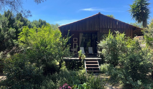 Pine Lodge - luxurious bungalow in nature