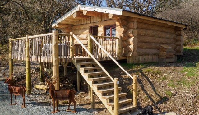 Pine Marten Log Cabin