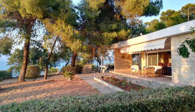Pine tree beachfront villa