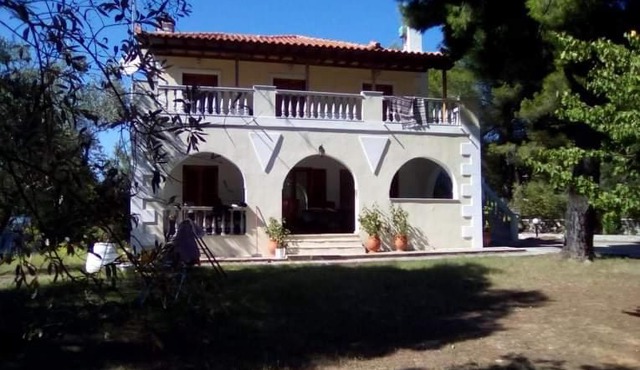 Pine tree house