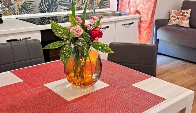 PINK APARTMENT between Lake Garda and Verona