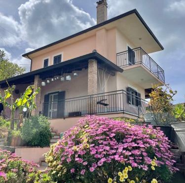Pink House
