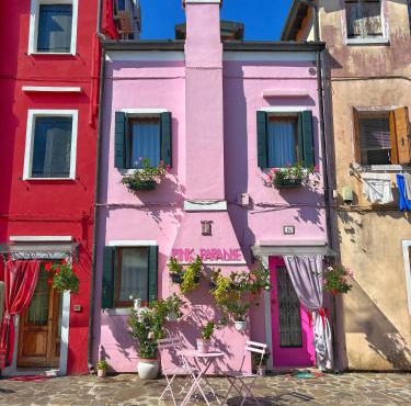 Pink Paradise
