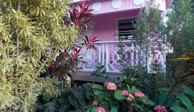 PINKSHACK STUDIO COTTAGE IN JUNGLE THEMED PATIO GARDEN
