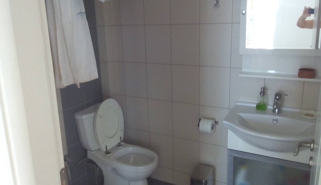 Platana Kymi Evia Greece