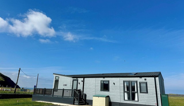 Platinum 2 Bed Spa Slps 4 (Pet)
