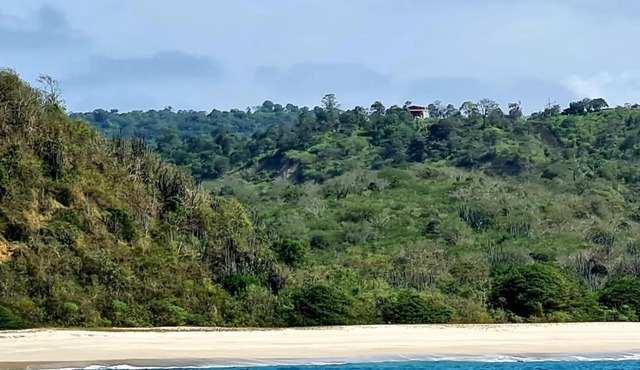Playita