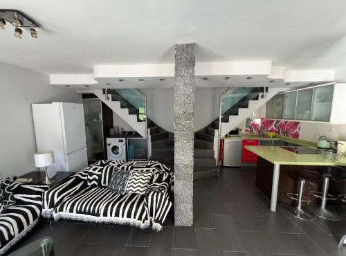 Playmar6970
