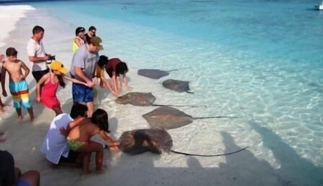 Plus View Maldives