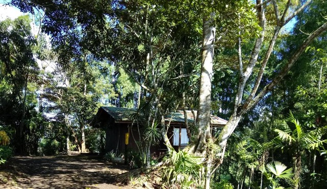 Pochotel Natural