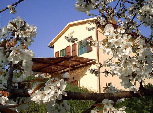 Podere Mazzana