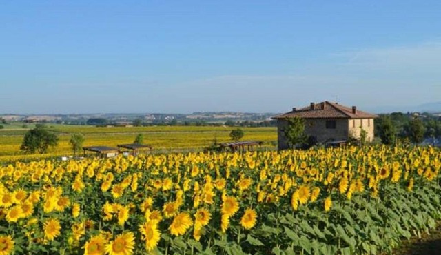 Podere Molinaccio