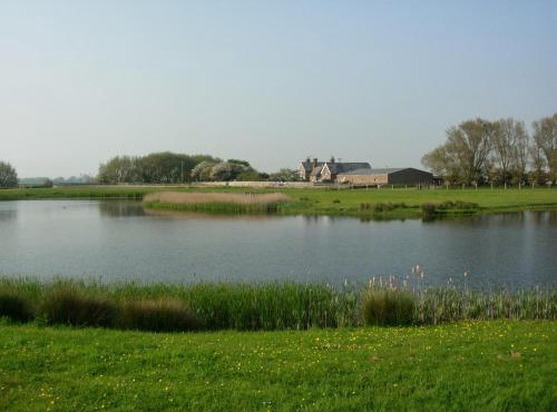 Point Farm