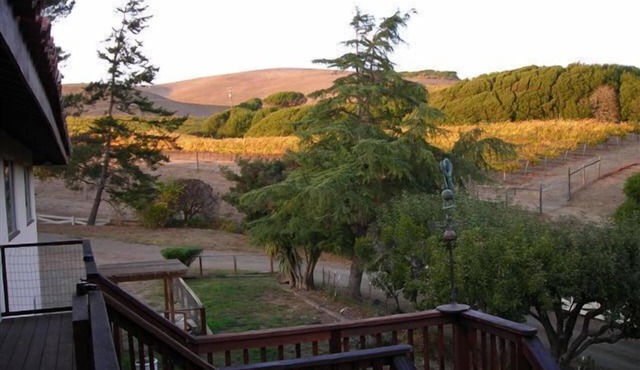 Point Reyes Vineyard Inn