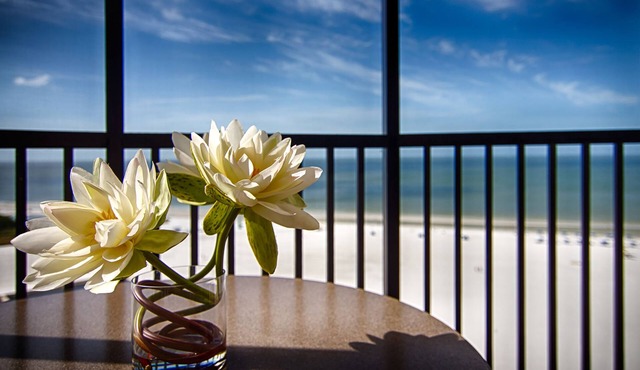 Pointe Estero Beach Resort