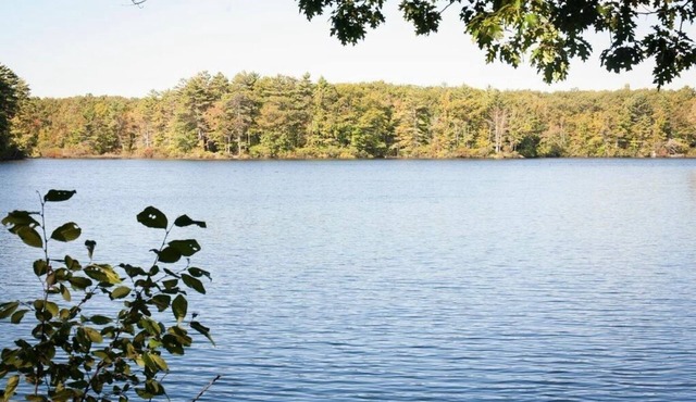 Pond side get away
