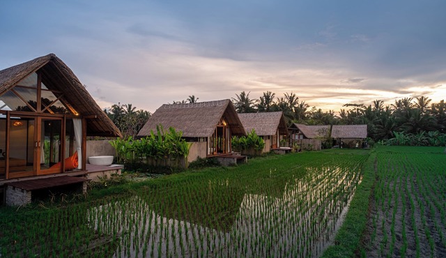Pondok Mawas