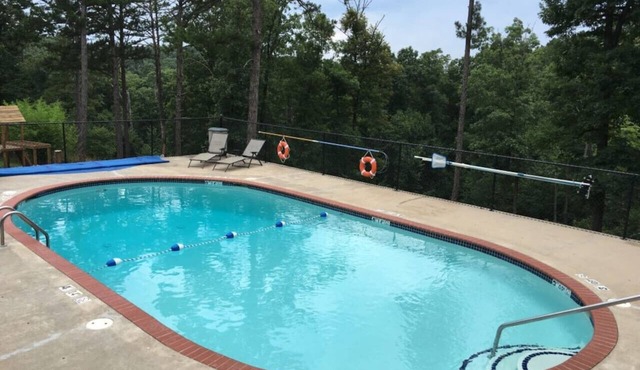 Pool+Wifi+Deck+3mi to Downtown Wild Plum Cabin#2