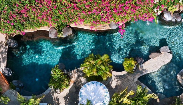 Poppies Bali