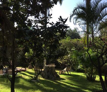 Posada los grillos