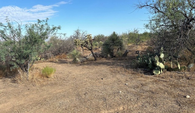 Post apocalyptic outpost as a campground in Tucson
