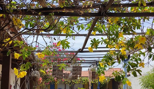 Pousada e Restaurante Tremembé