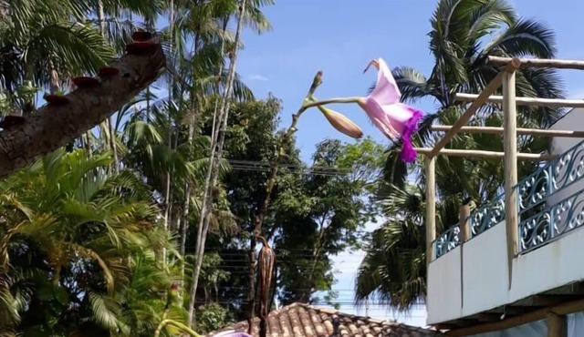 Pousada Ilha de Itaka