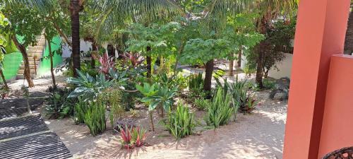Pousada Lotus