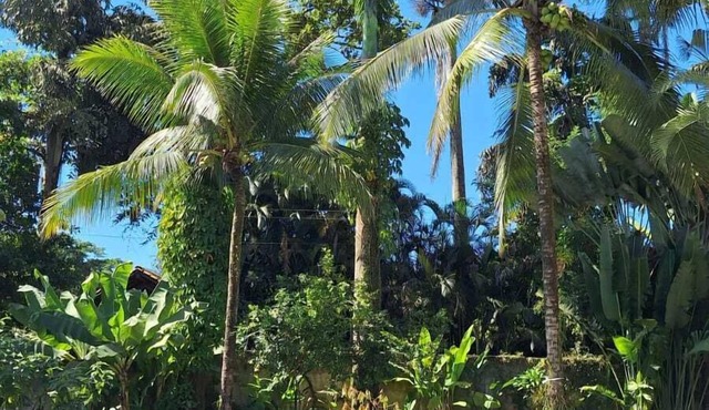 Pousada Serra Da Bocaina Paraty